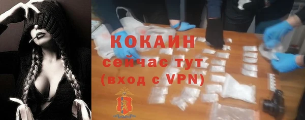 сатива Белоозёрский