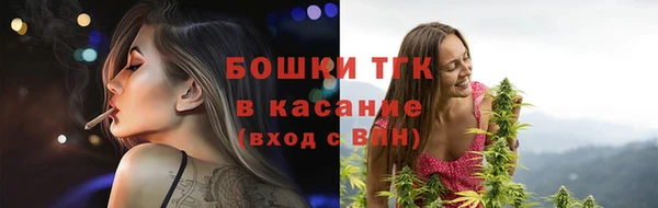 сатива Белоозёрский