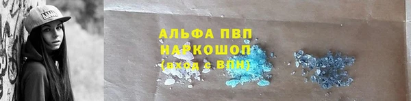 кокс Белокуриха
