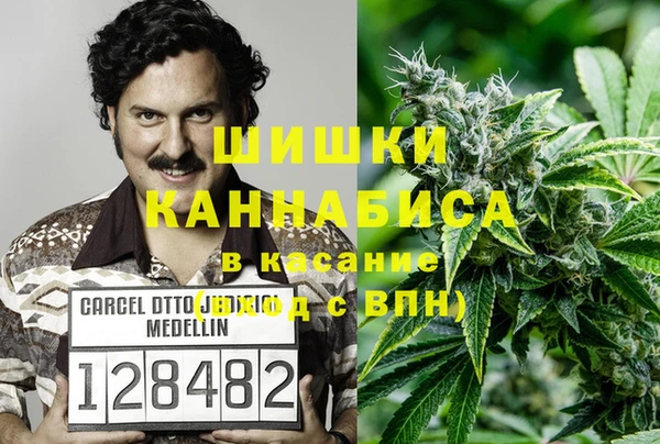 сатива Белоозёрский