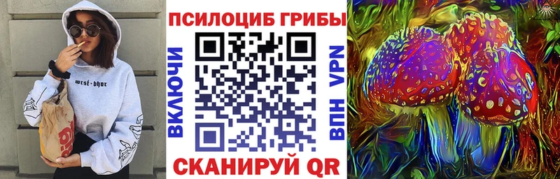 сколько стоит  Славгород  Псилоцибиновые грибы Cubensis 